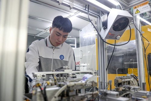 普高之外，多元選擇 職高并非終點，技術轉讓開啟新可能